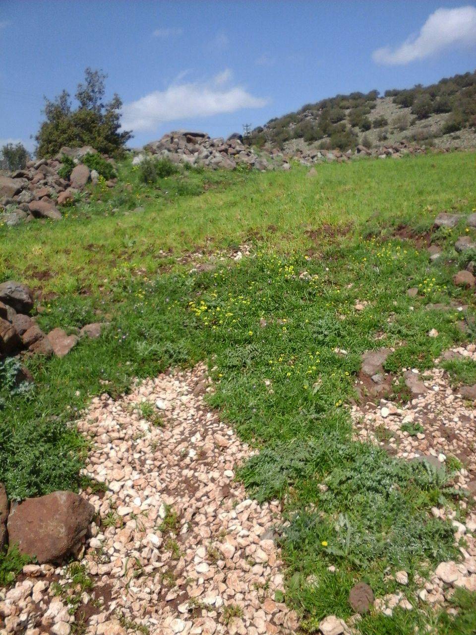 Şehitkamil Akçaburç Köyü Resimleri 1