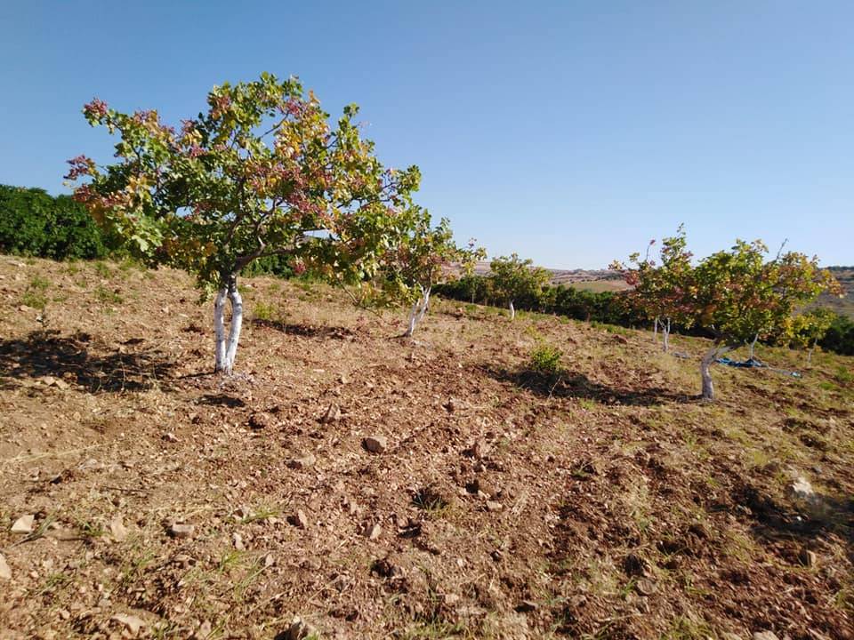 Şehitkamil Atabek Köyü Resimleri 2