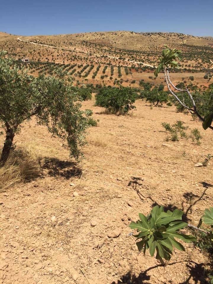 Şehitkamil Battal Köyü Resimleri 1