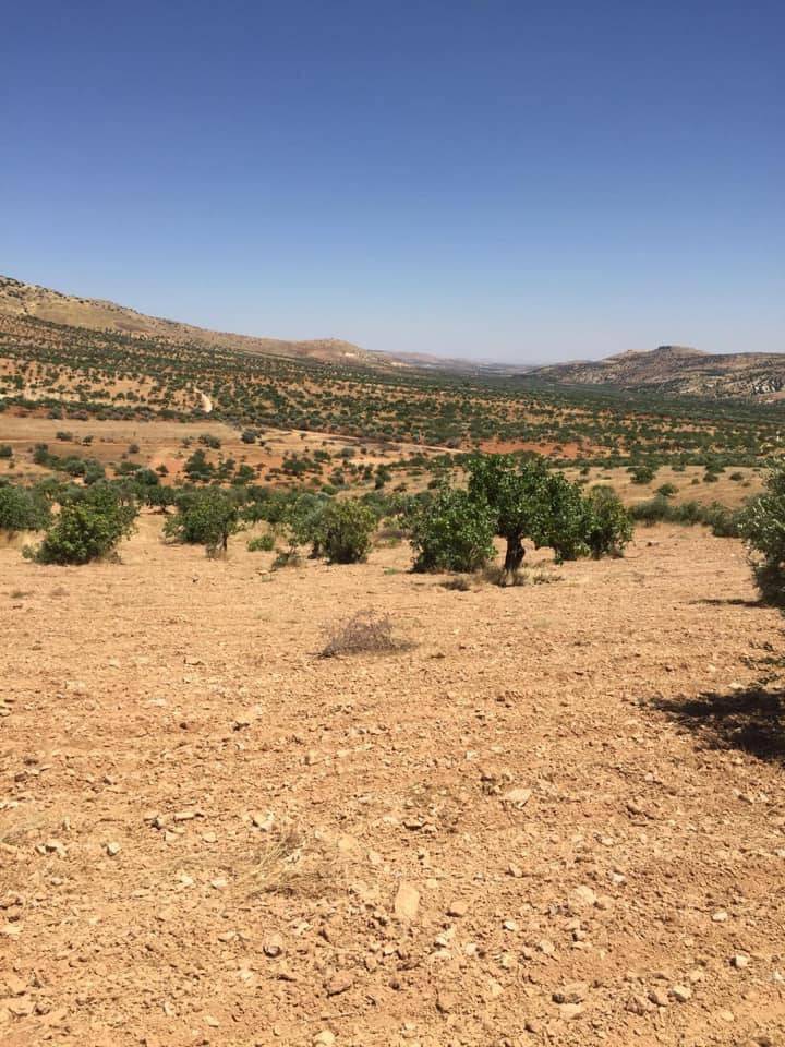 Şehitkamil Battal Köyü Resimleri 2