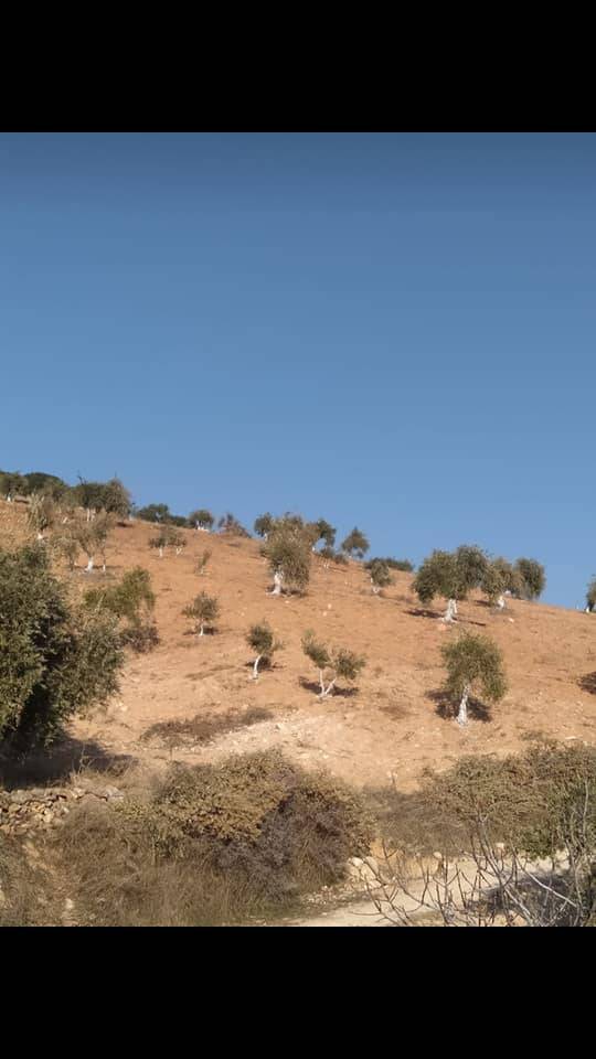 Şehitkamil Battal Köyü Resimleri 6