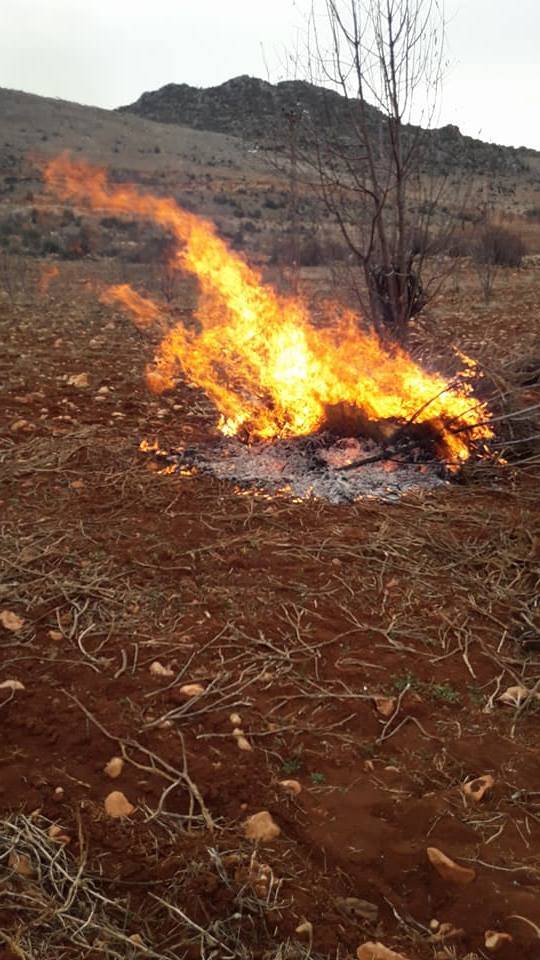 Şehitkamil Bayatlı Köyü Resimleri 3