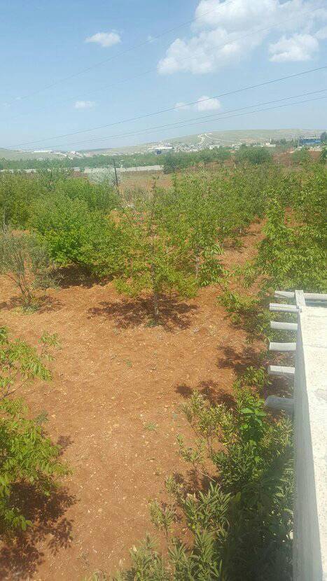 Şehitkamil Bedirköy Köyü Resimleri 10