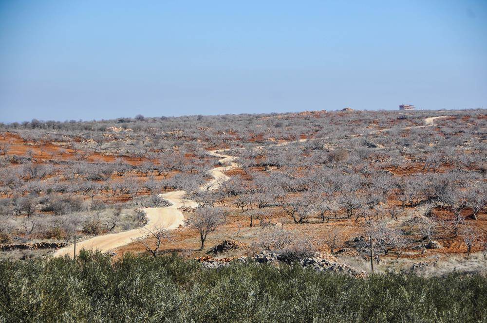 Şehitkamil Bedirköy Köyü Resimleri 2