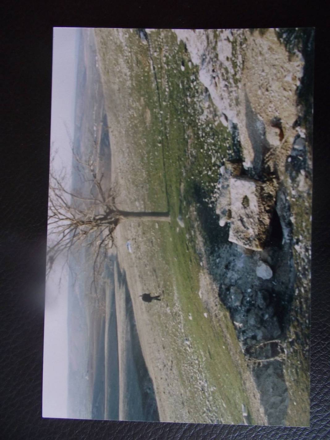 Şehitkamil Bedirköy Köyü Resimleri 3