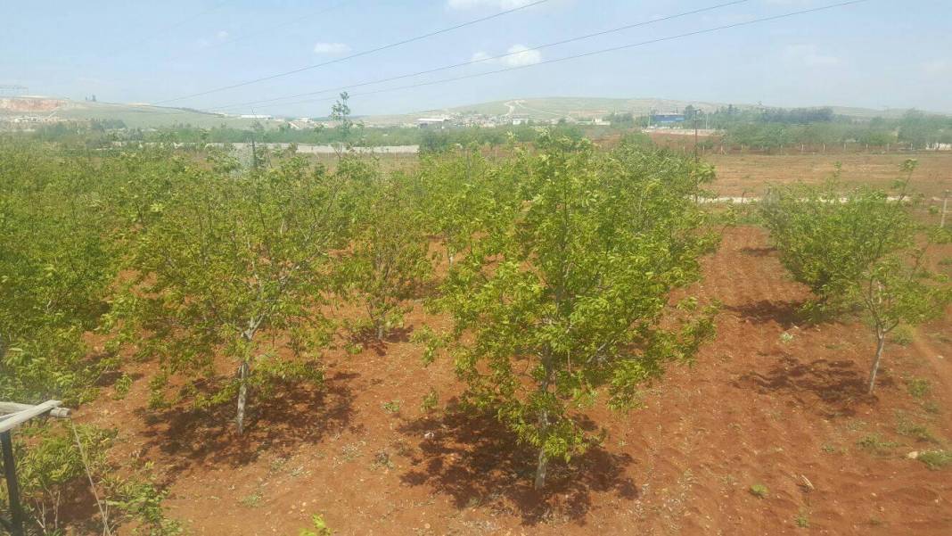 Şehitkamil Bedirköy Köyü Resimleri 7