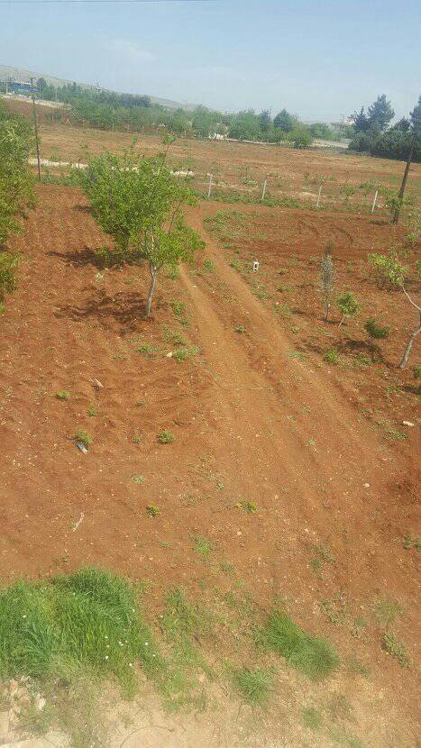 Şehitkamil Bedirköy Köyü Resimleri 8