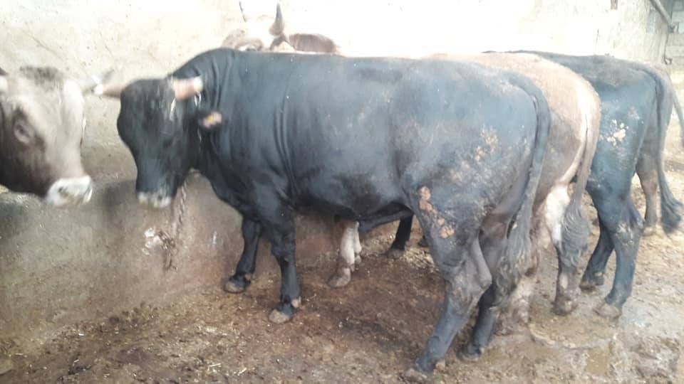 Kocasinan Akin Köyü Resimleri 5