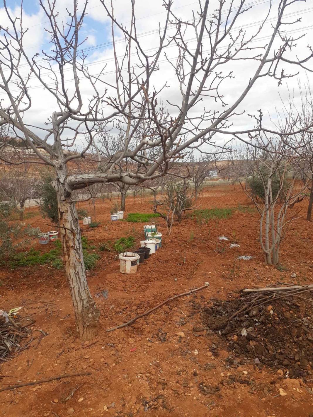 Şehitkamil Bilek Köyü Resimleri 10