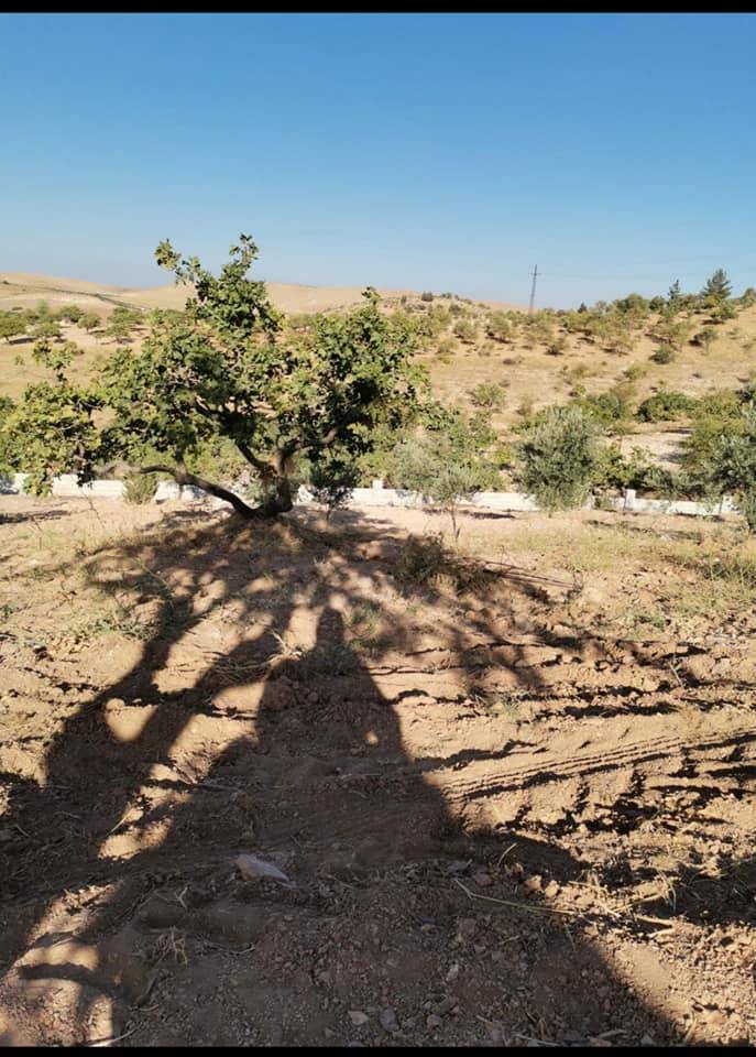 Şehitkamil Bilek Köyü Resimleri 4