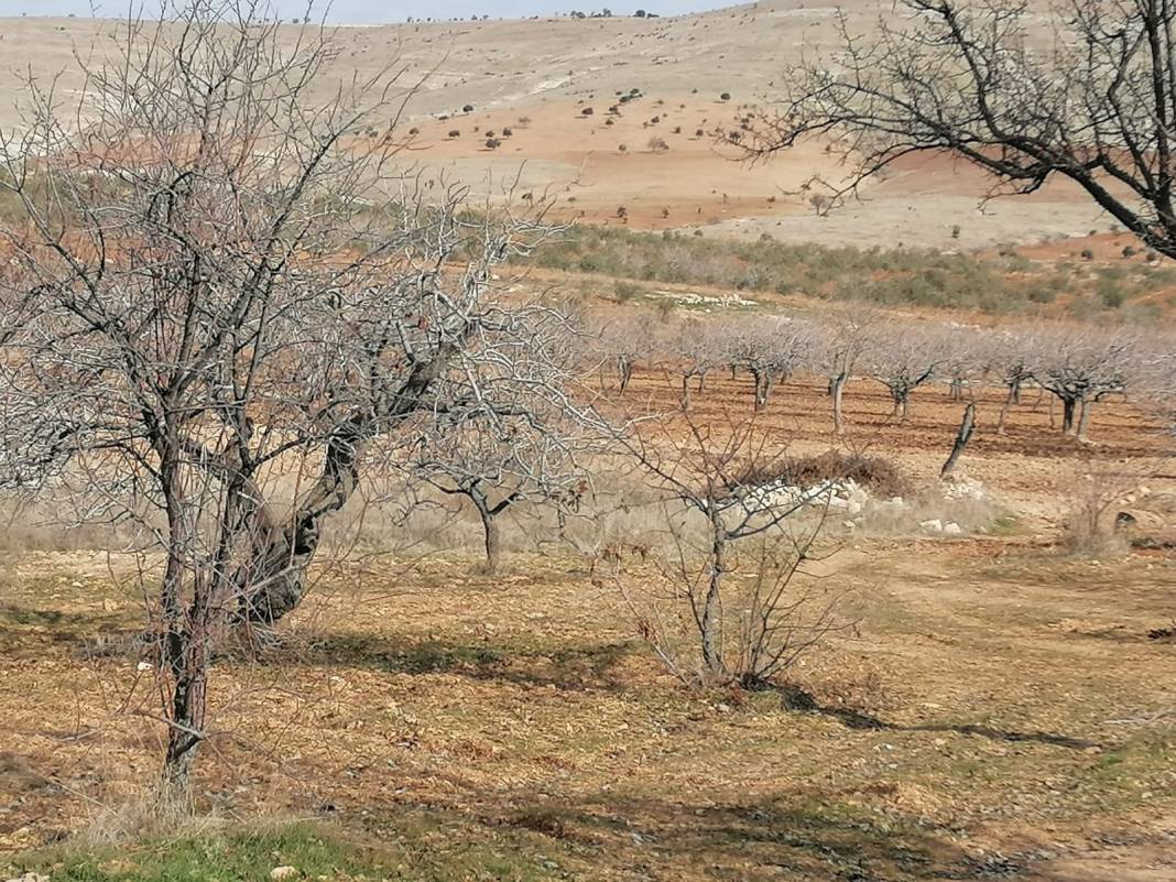 Şehitkamil Bilek Köyü Resimleri 5