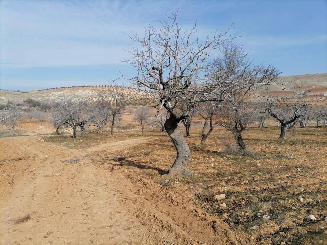 Şehitkamil Bilek Köyü Resimleri 8