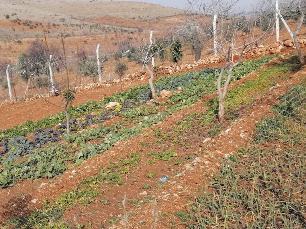 Şehitkamil Bilek Köyü Resimleri 9
