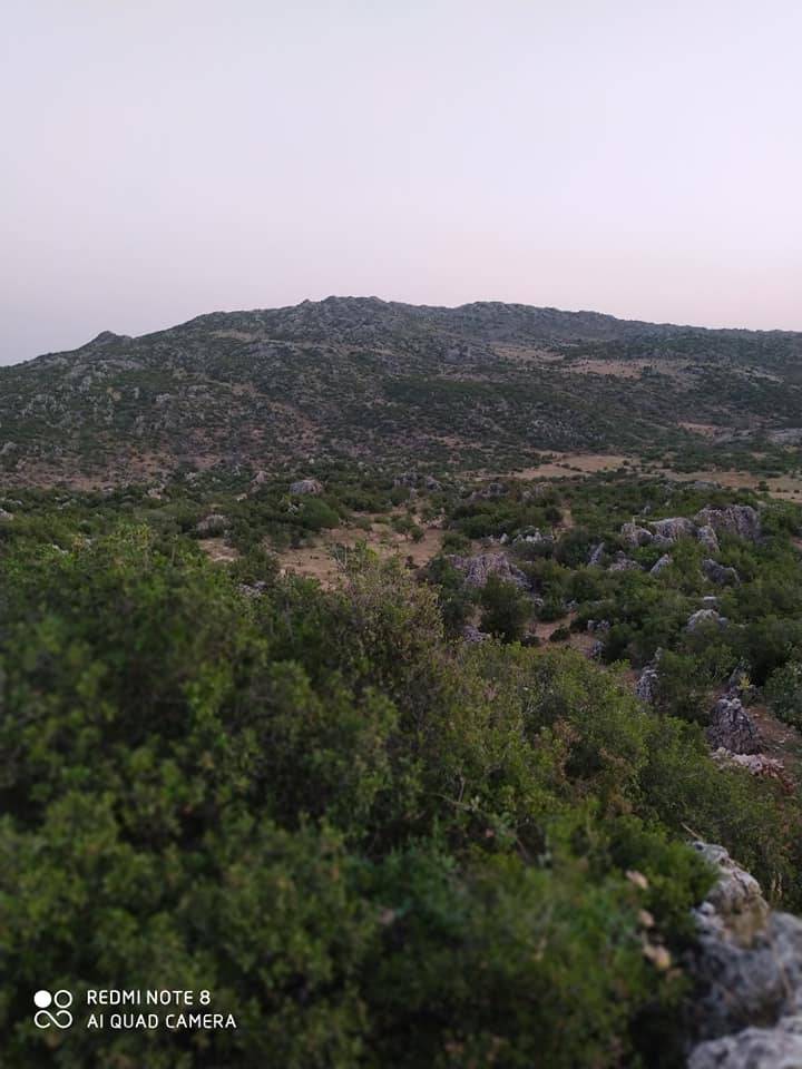 Şehitkamil Cerityeniyapan Köyü Resimleri 3