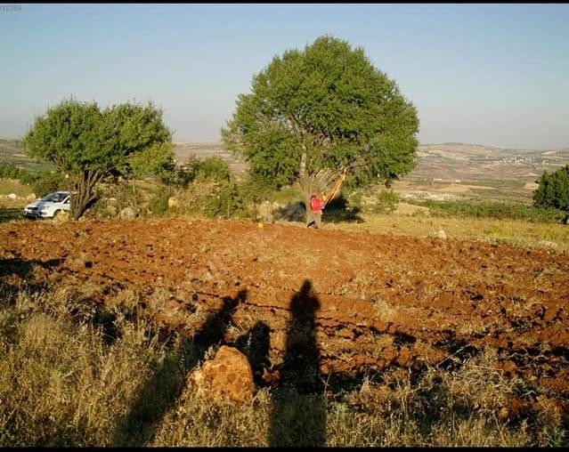 Şehitkamil Dımışkılı Köyü Resimleri 5