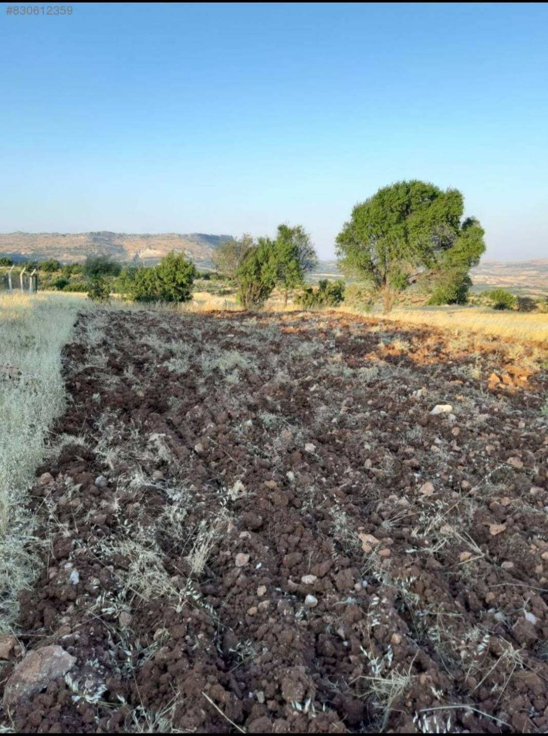 Şehitkamil Dımışkılı Köyü Resimleri 6
