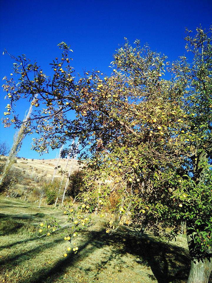 Hekimhan Köylüköyü Resimleri 2