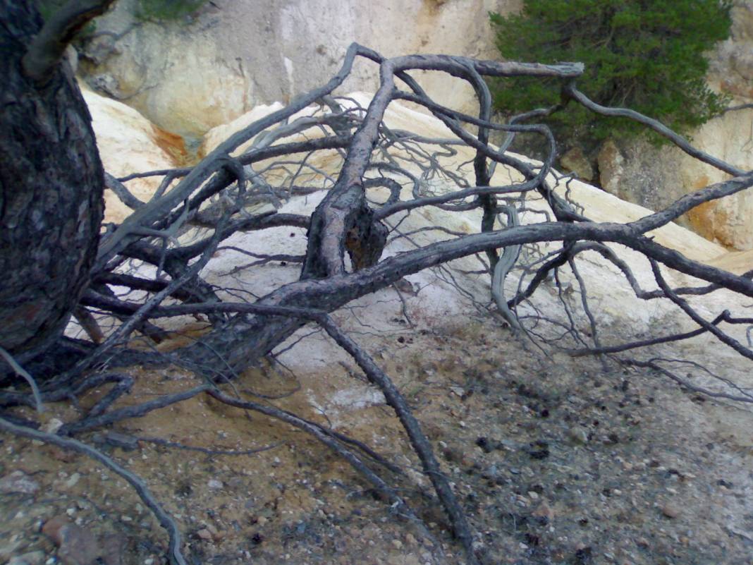 Hekimhan Köylüköyü Resimleri 3