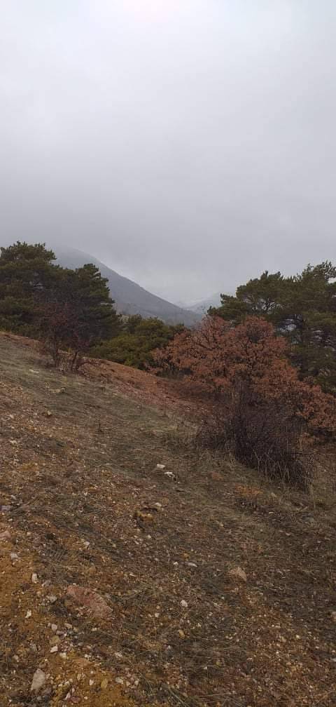 Hekimhan Köylüköyü Resimleri 5