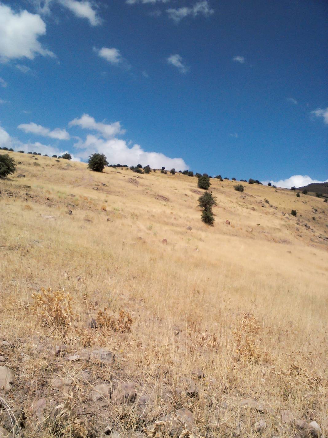 Hekimhan Köylüköyü Resimleri 9