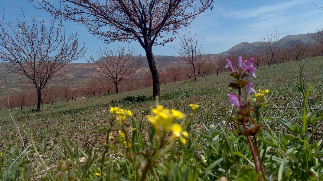 Hekimhan Sarıkız Köyü Resimleri 10