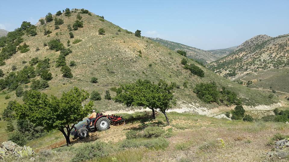 Hekimhan Sarıkız Köyü Resimleri 2