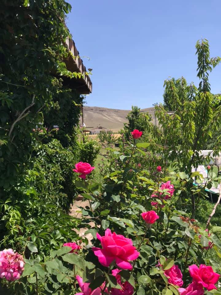 Kocasinan Bayramhacı Köyü Resimleri 9