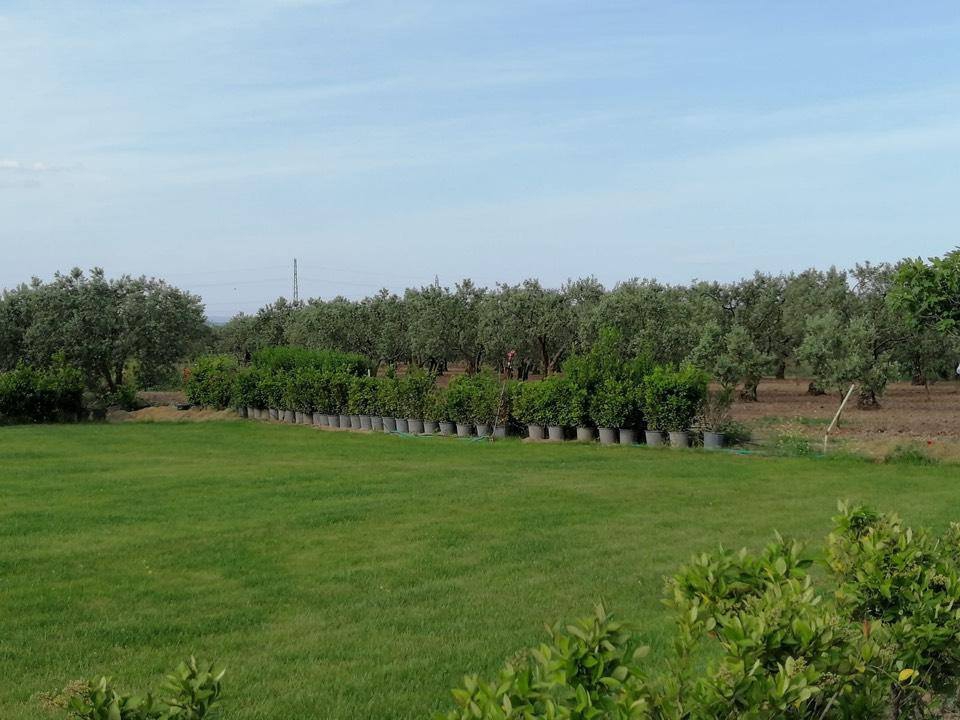 Akhisar Medar Köyü Resimleri 10