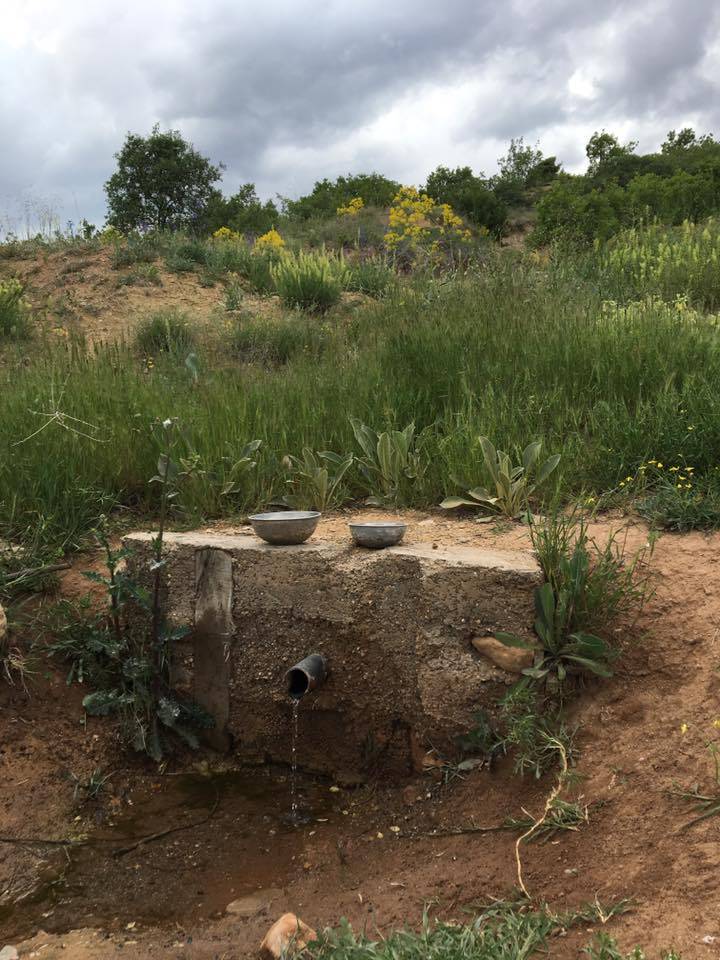 Hekimhan Yeşilpınar Köyü Resimleri 8
