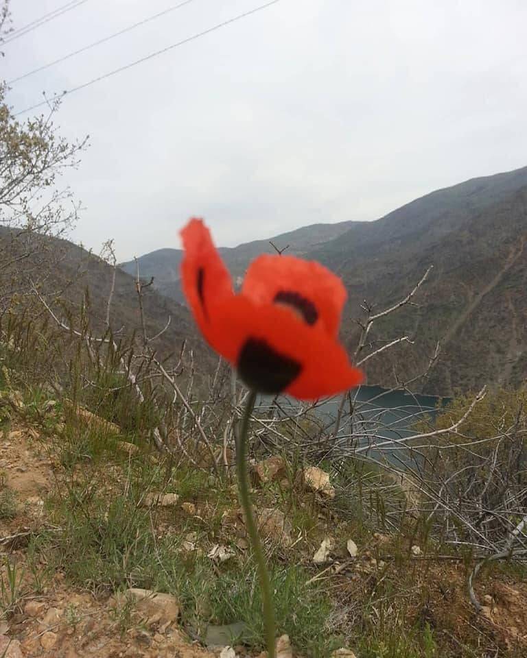 Kale Akça Köyü Resimleri 3