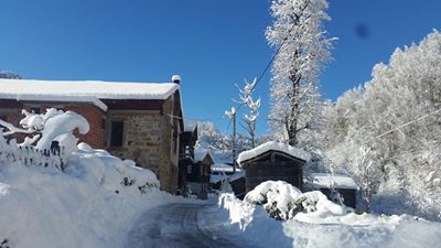 Hemşin Hilal Köyü Resimleri 4