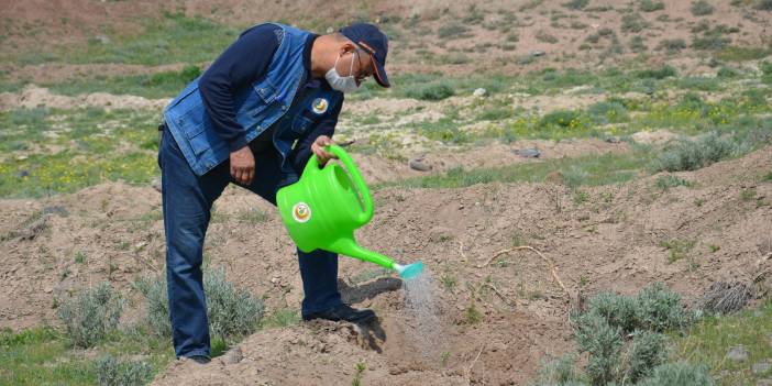 Kocasinan Buğdaylı Köyü Resimleri