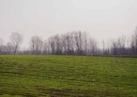 Şehitkamil Işıklı Köyü Resimleri 1