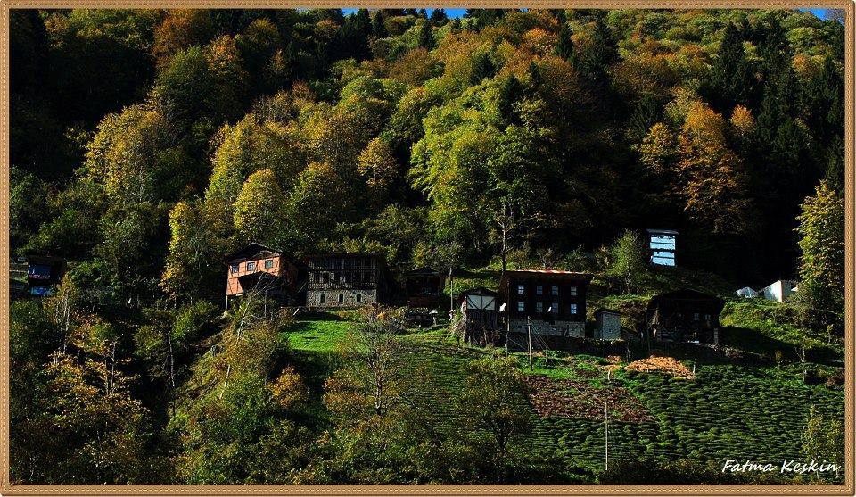 Hemşin Kantarlı Köyü Resimleri 11