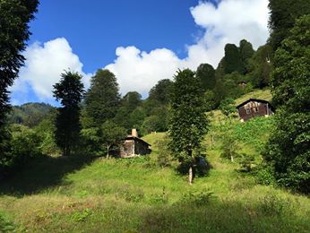 Hemşin Kantarlı Köyü Resimleri 5