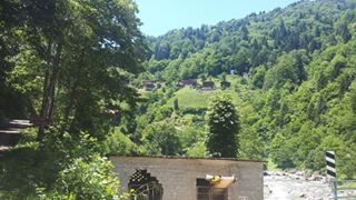 Hemşin Kantarlı Köyü Resimleri 6