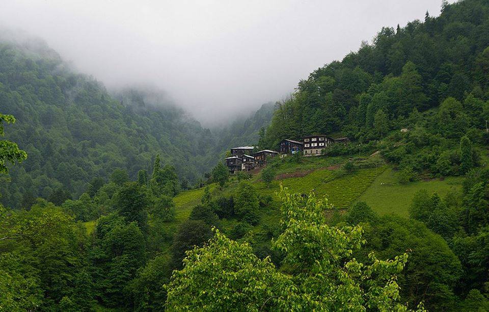 Hemşin Kantarlı Köyü Resimleri 9