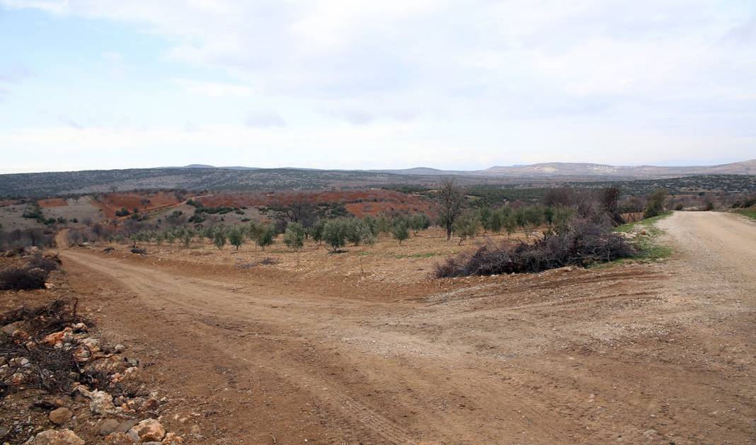 Şehitkamil Kozluyazı Köyü Resimleri 1