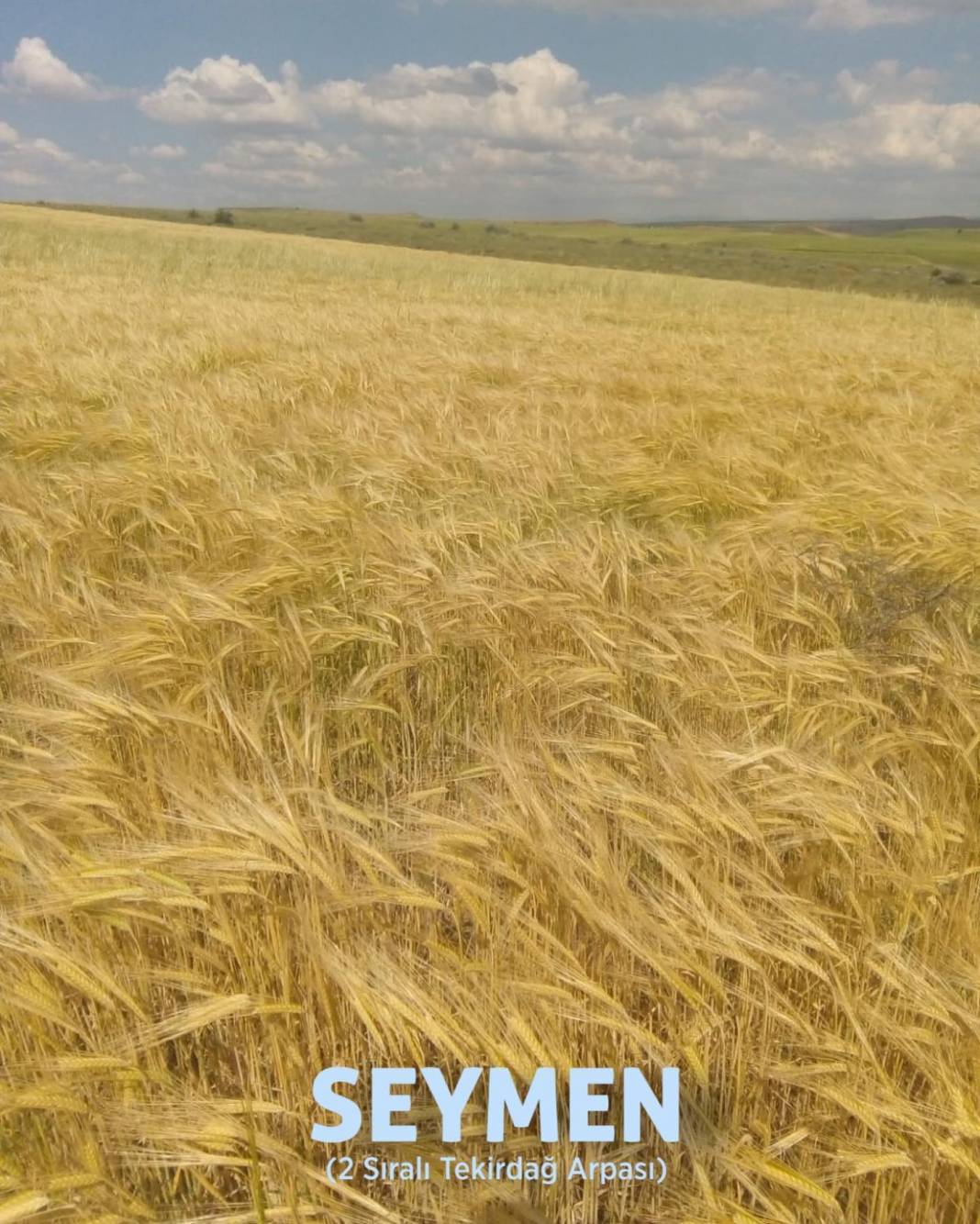 Kocasinan Doruklu Köyü Resimleri 3