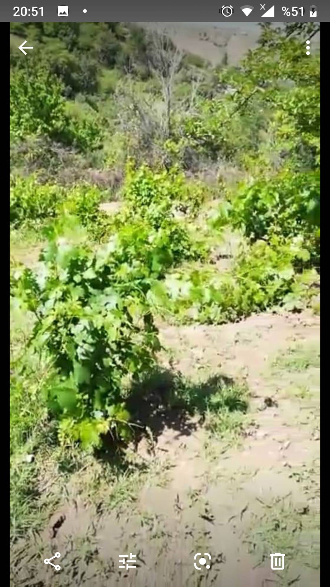 Kocasinan Elagöz Köyü Resimleri 1