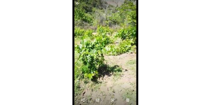 Kocasinan Elagöz Köyü Resimleri