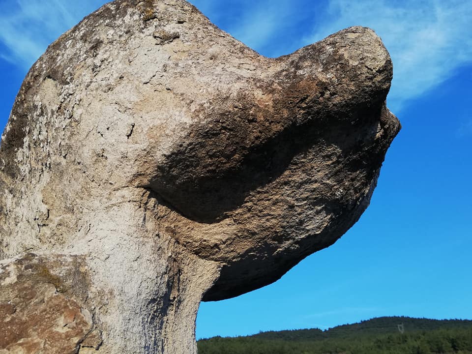 Akhisar Musalar Köyü  Resimleri 13