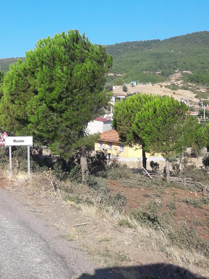 Akhisar Musalar Köyü  Resimleri 14