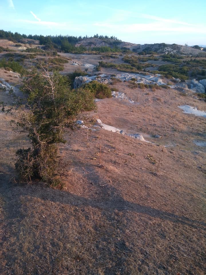 Akhisar Musalar Köyü  Resimleri 15