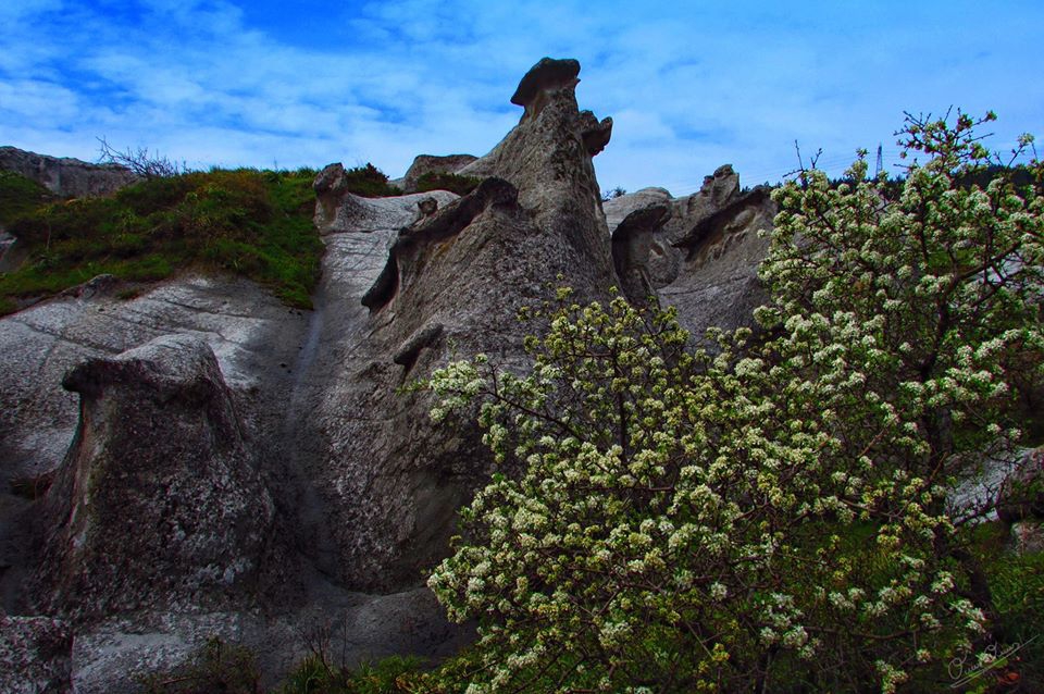 Akhisar Musalar Köyü  Resimleri 26
