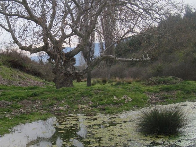 Akhisar Musalar Köyü  Resimleri 6