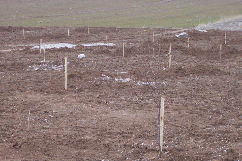 Kocasinan Elmalı Köyü Resimleri 1