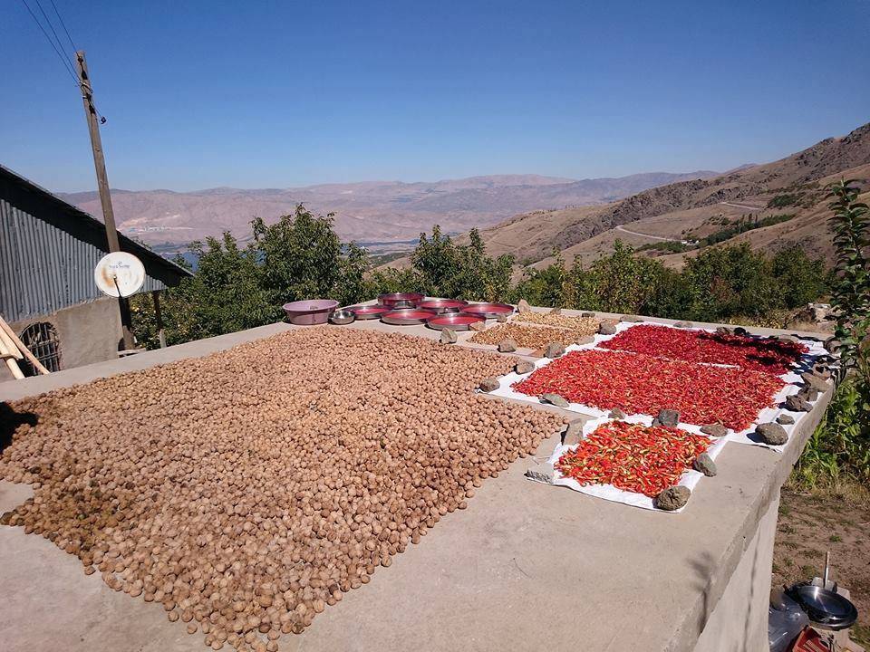 Kale Çanakçı Köyü Resimleri 7