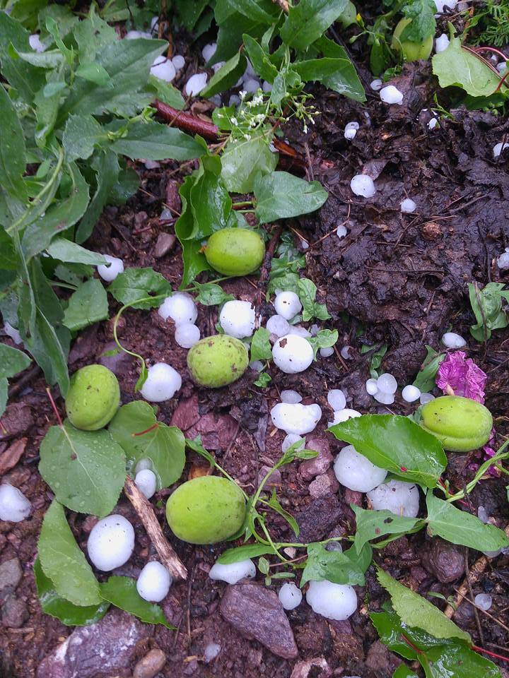 Kale Erdemli Köyü Resimleri 7