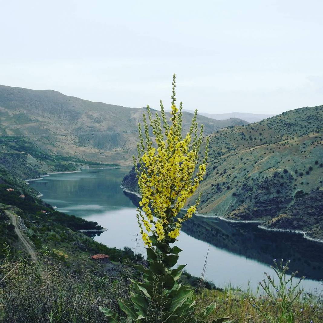 Kale Gülenköy Resimleri 12